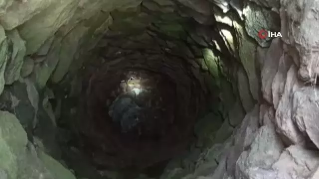 İtfaiye ekipleri tilkiyi kurtarma için seferber oldu İtfaiye ekipleri tilkiyi kurtarma için seferber oldu