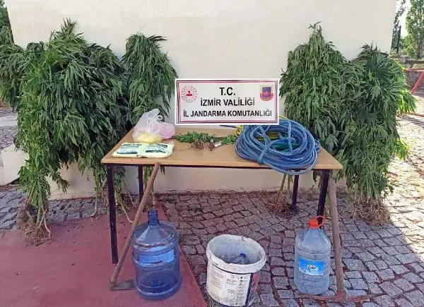 İZMİR'DE UYUŞTURUCU OPERASYONLARI