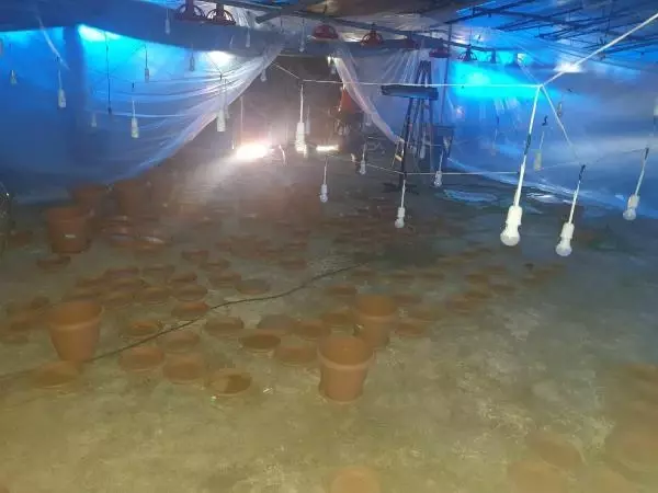 İZMİR'DE UYUŞTURUCU OPERASYONLARI