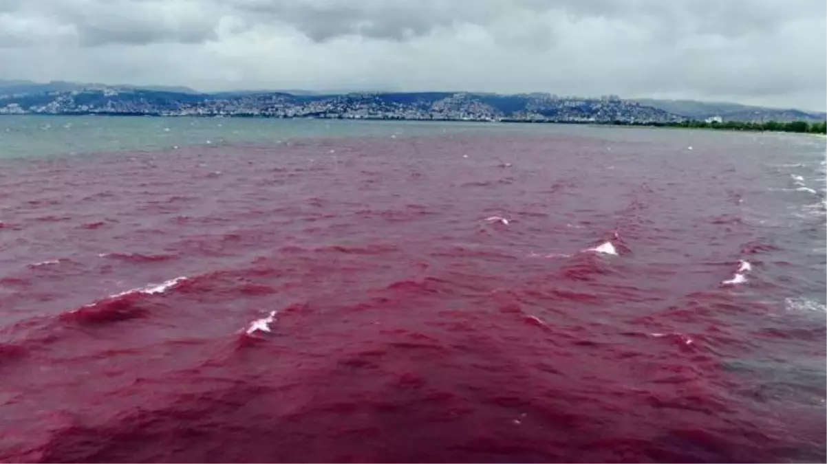 İzmit Körfezi'ni kırmızıya boyayan firmanın faaliyetleri durduruldu