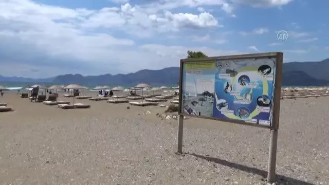 İztuzu Plajı'ndaki caretta caretta yuva sayısı 300'e ulaştı