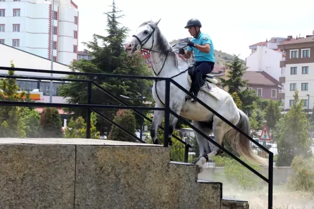JAKEM'de eğitilen atlar Türkiye'nin çeşitli illerinde emniyet ve asayişi sağlıyor