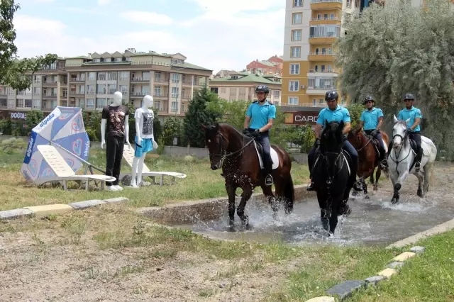 JAKEM'de eğitilen atlar Türkiye'nin çeşitli illerinde emniyet ve asayişi sağlıyor