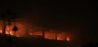 Kırklareli'nde büyükbaş hayvan çiftliğinde çıkan yangın kontrol altına alındı