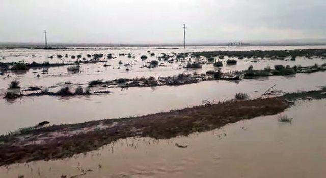 Konya'da sağanak; tarım arazileri suyla doldu
