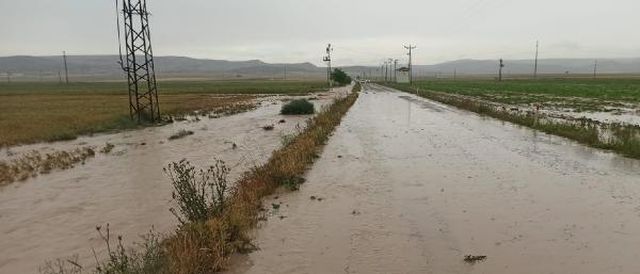 Konya'da sağanak; tarım arazileri suyla doldu