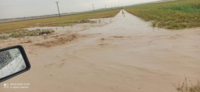 Konya'da sağanak; tarım arazileri suyla doldu