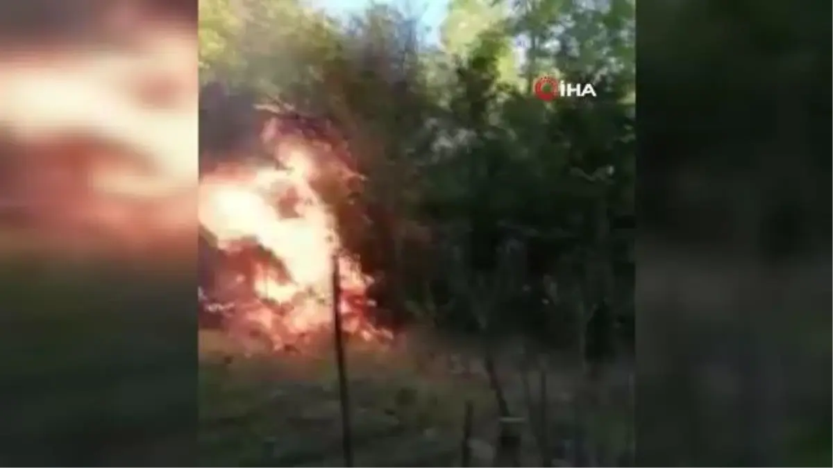 Son dakika haber: Köyde çıkan yangında 4 bahçe zarar gördü