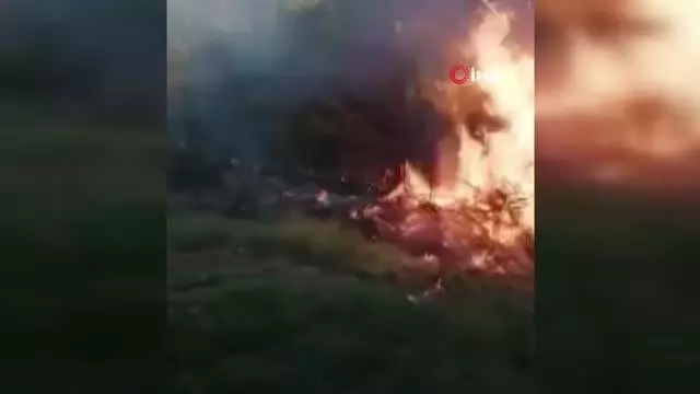 Son dakika haber: Köyde çıkan yangında 4 bahçe zarar gördü