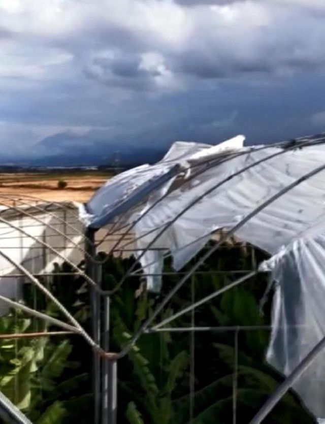 Manavgat'ta hortum; 12 dönüm muz serasında hasar var