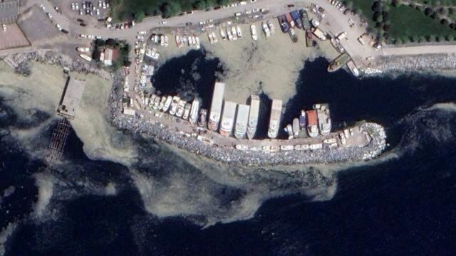 Marmara'yı katleden deniz salyası, Akdeniz'de de görülüyor Marmara'yı katleden deniz salyası, Akdeniz'de de görülüyor