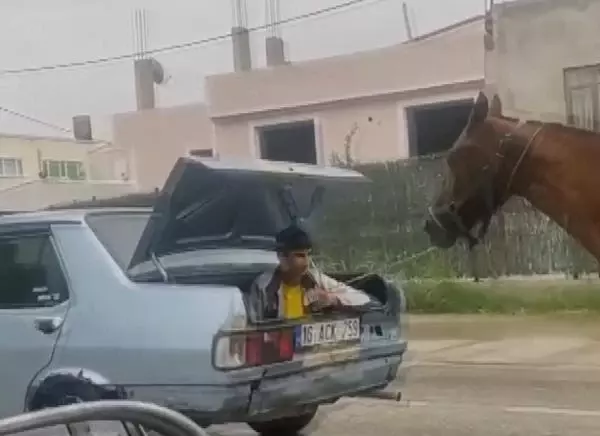 Otomobilin bagajındaki çocuğun ipe bağlı atı koşturduğu anlar kamerada