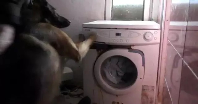 Sakarya'da uyuşturucu tacirlerine operasyon: 23 gözaltı