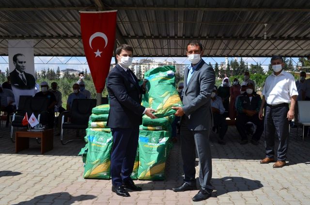 Üreticilere silajlık mısır tohumu dağıtıldı