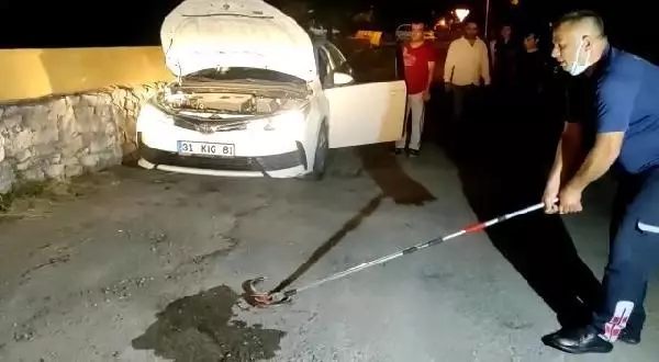 Vatandaşların yılan sanıp ekiplere haber verdiği oluklu kertenkele paniğe neden oldu Vatandaşların yılan sanıp ekiplere haber verdiği oluklu kertenkele paniğe neden oldu