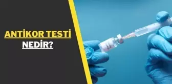 Antikor testi nedir? COVID antikor testi nasıl yapılır? Biontech antikor testi nerede yapılır