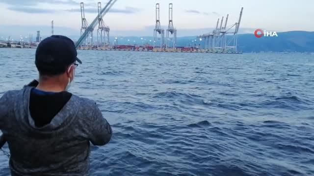 buyuk av umuduyla cektigi oltasindan marti ci 2 14208088 o