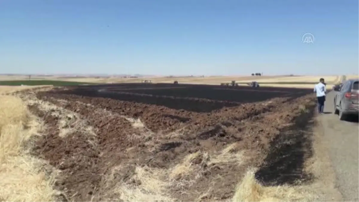 DİYARBAKIR - Tarlada çıkan yangın söndürüldü