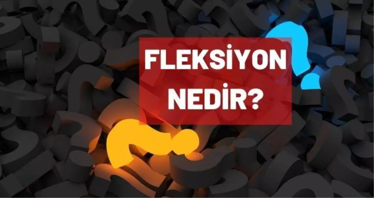 Fleksiyon nedir? Fleksiyon terimi ne anlama gelir?