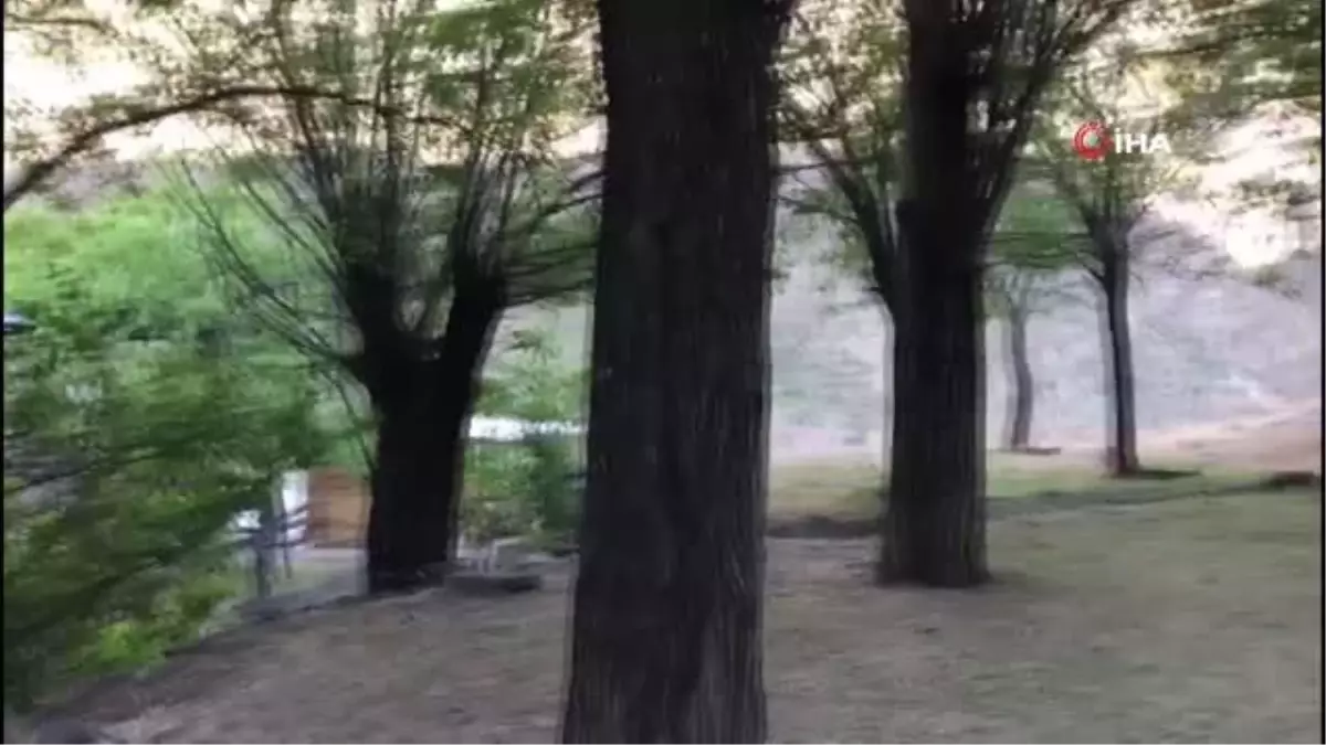 İspir'de dut hasadı