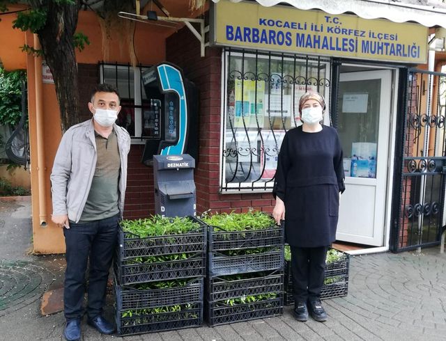 kent merkezindeki muhtarlara fide dagitimi 2 14207420 o