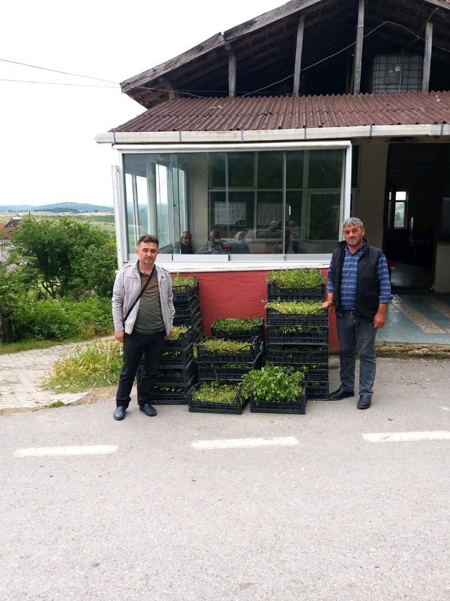 kent merkezindeki muhtarlara fide dagitimi 3 14207420 o