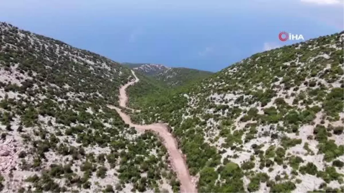 Kıl keçisi yetiştiricilerinin yol sevinci