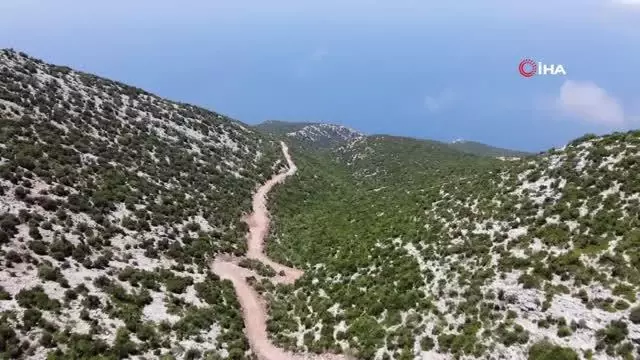 Kıl keçisi yetiştiricilerinin yol sevinci