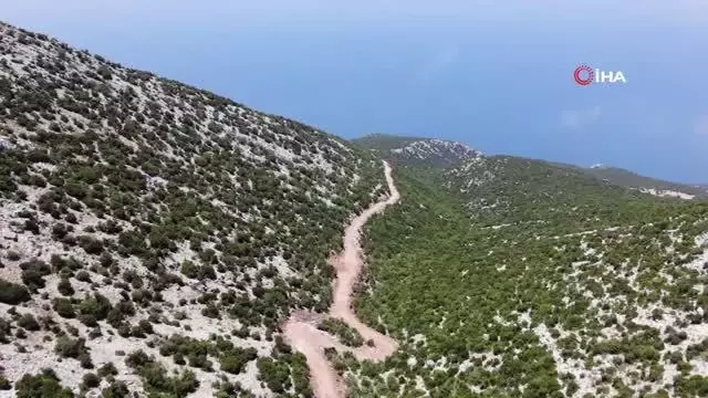 Kıl keçisi yetiştiricilerinin yol sevinci