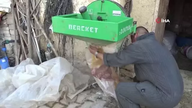 Kütahyalı besici hayvan yemini kendisi üretiyor