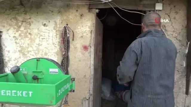 Kütahyalı besici hayvan yemini kendisi üretiyor