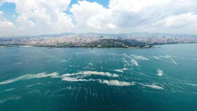 Marmara'da hidrojen sülfür tehlikesi! Denizdeki canlı yaşamını yok edebilir