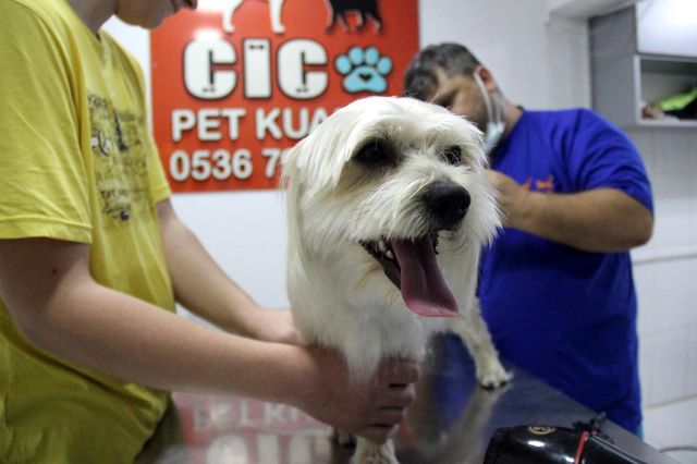 onlar da guzellesmek icin kuafore kosuyor 2 14206219 o