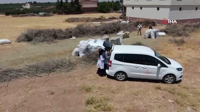 saglik ekiplerinin tarlada asi seruveni 14208082 o