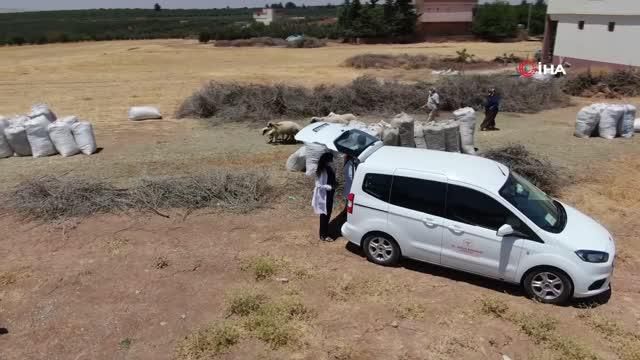 saglik ekiplerinin tarlada asi seruveni 2 14208082 o