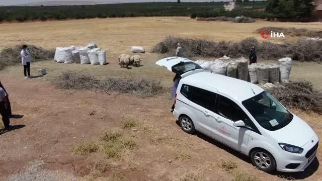 saglik ekiplerinin tarlada asi seruveni 3 14208082 o