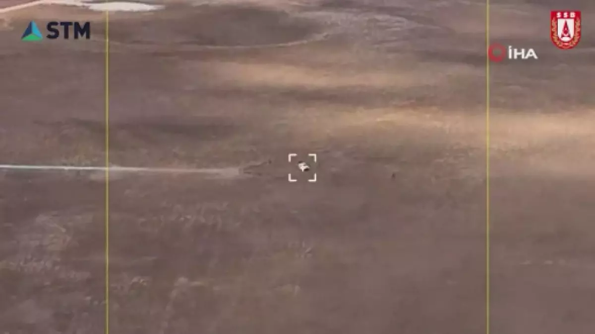 Savunma Sanayii Başkanı Demir: 'Kendisi hafif etkisi ağır ALPAGU'dan tam isabet'