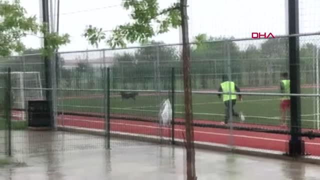 spor mac oynanirken sahaya kopek girdi 14207101 o