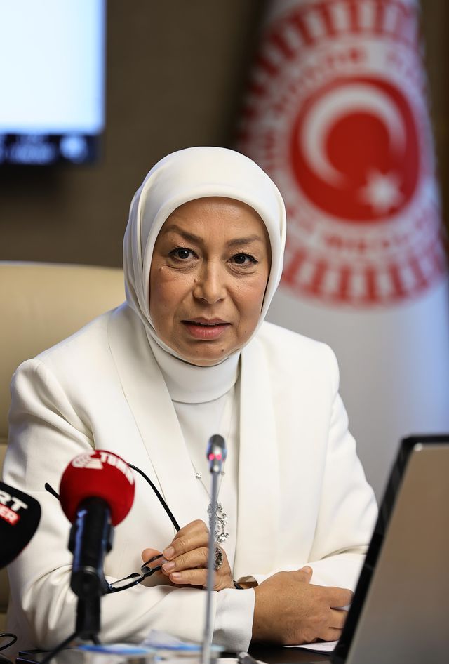 tbmm kadina yonelik siddetin arastirilmasi 4 14207208 o