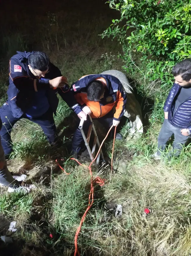 Afyonkarahisar'da kuyuya düşen 3 koyun ve kaplumbağayı AFAD ekipleri kurtardı Afyonkarahisar'da kuyuya düşen 3 koyun ve kaplumbağayı AFAD ekipleri kurtardı