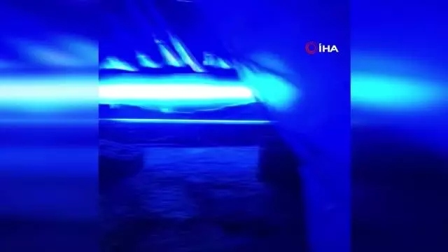 Aile içi kavgaya giden polis kenevir bahçesiyle karşılaştı