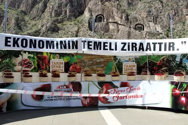 Amasya'da kirazlar yarıştı: Birinciye 3 bin TL ödül Amasya'da kirazlar yarıştı: Birinciye 3 bin TL ödül