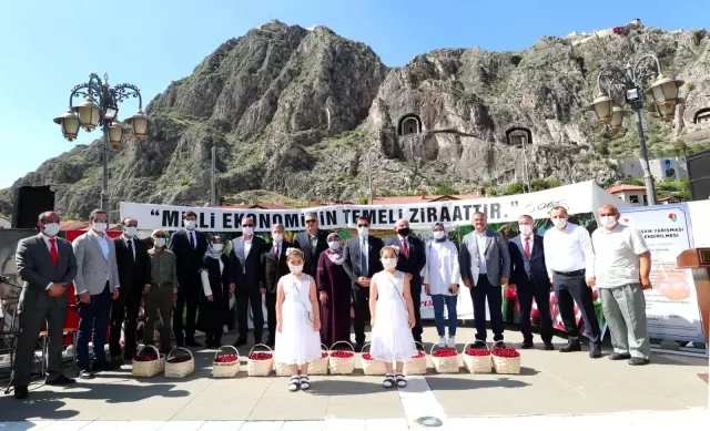 Amasya'da kirazlar yarıştı: Birinciye 3 bin TL ödül Amasya'da kirazlar yarıştı: Birinciye 3 bin TL ödül
