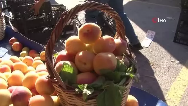 Armut fiyatları cep yakıyor Armut fiyatları cep yakıyor