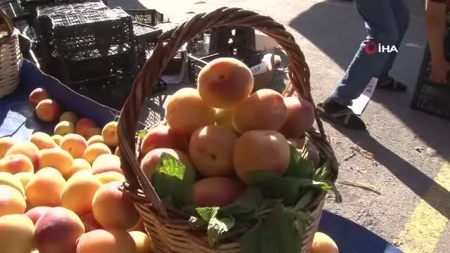 Armut fiyatları cep yakıyor Armut fiyatları cep yakıyor