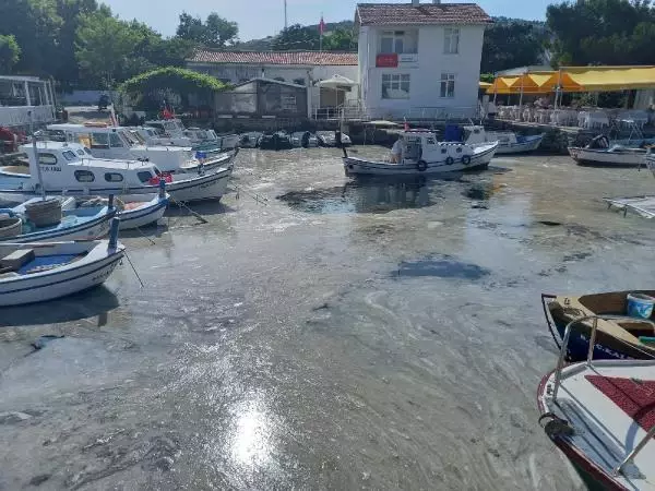 Bozcaada'da tedirgin eden müsilaj görüntüsü