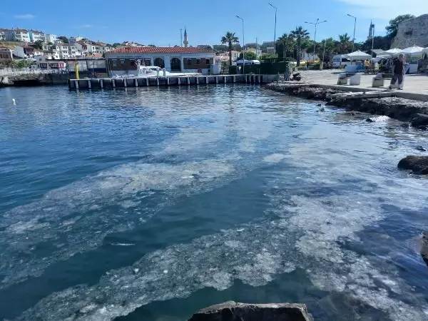 Bozcaada'da tedirgin eden müsilaj görüntüsü