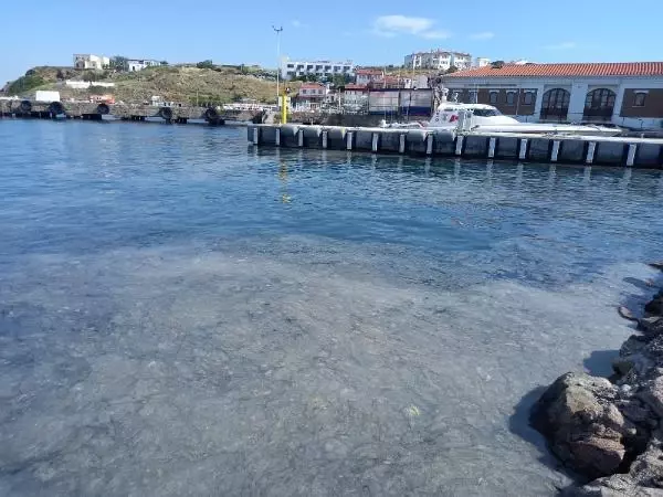 Bozcaada'da tedirgin eden müsilaj görüntüsü
