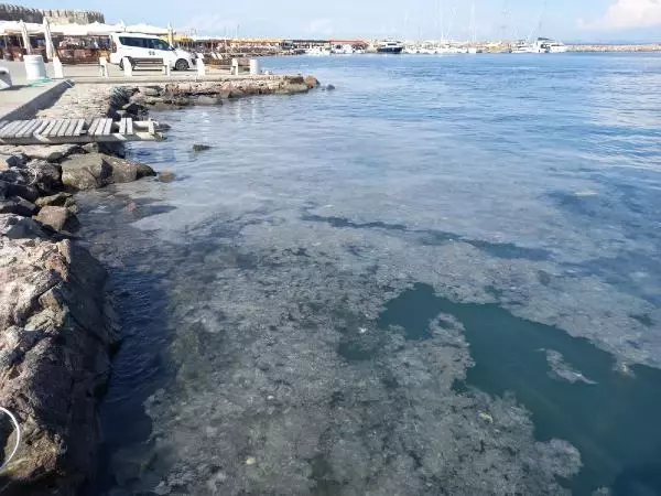Bozcaada'da tedirgin eden müsilaj görüntüsü
