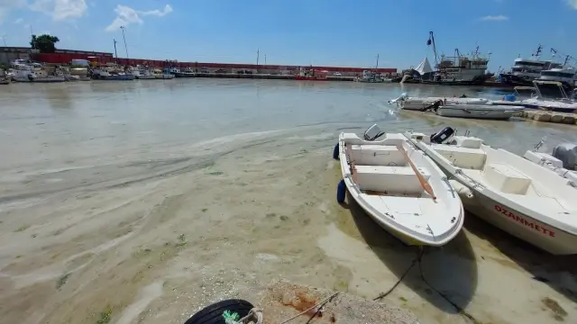 Son dakika haber: Bu görüntüler Tekirdağ'dan: Denizde salya çölü